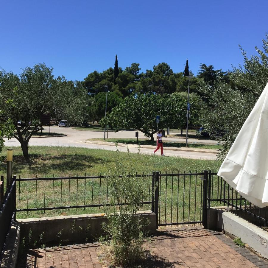 Apartments Nautica Novigrad  Exterior photo